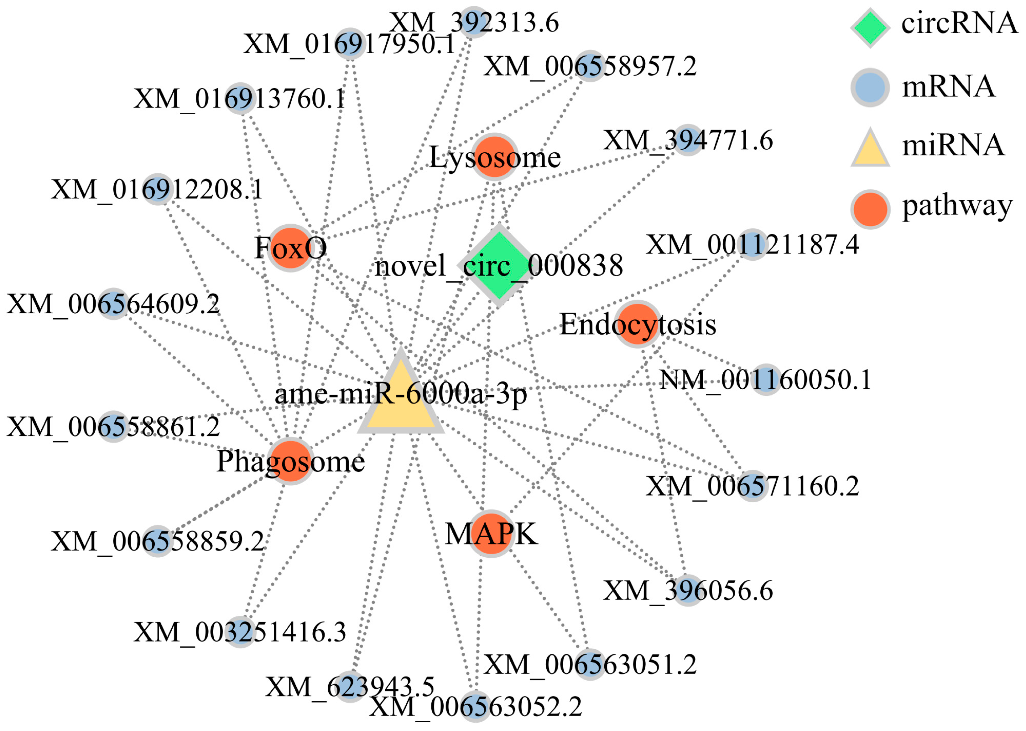 Insects 14 00897 g006
