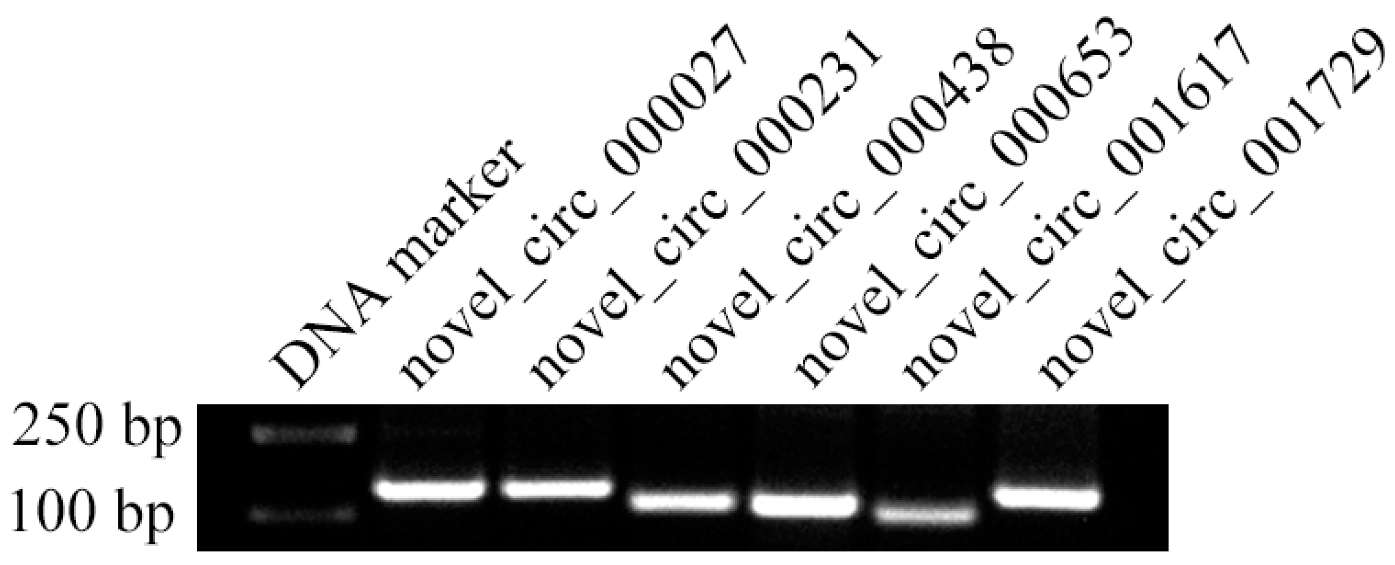 Insects 14 00897 g007