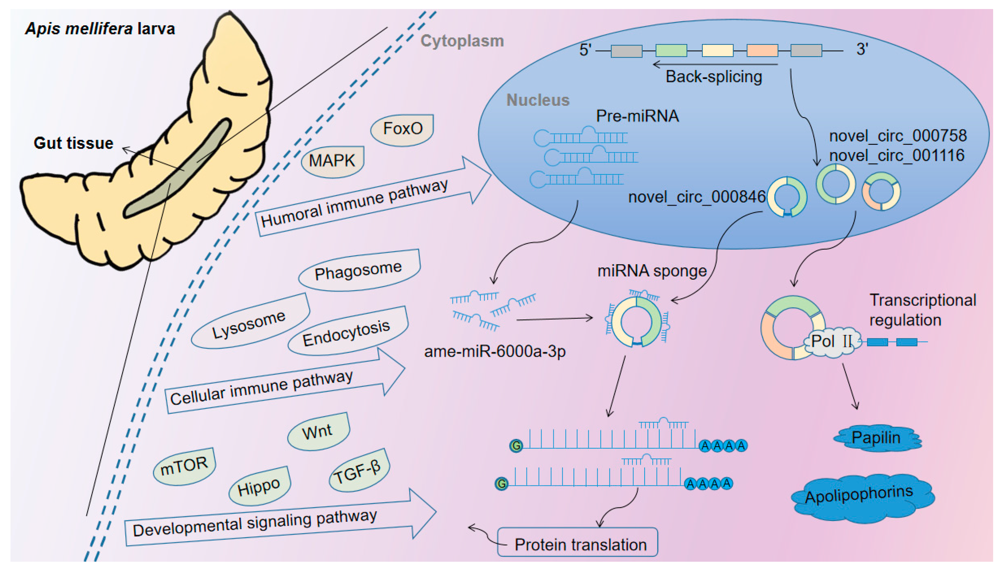 Insects 14 00897 g009