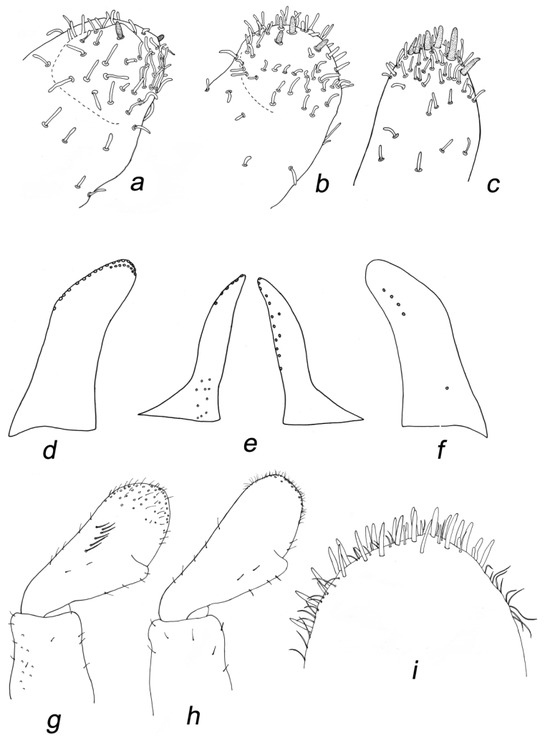 Insects 14 00899 g006