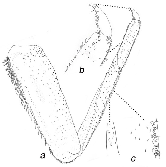 Insects 14 00899 g007
