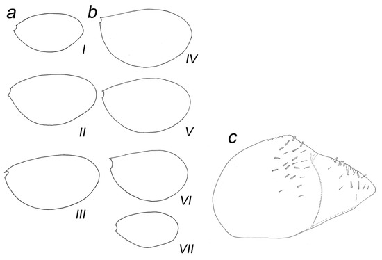 Insects 14 00899 g008