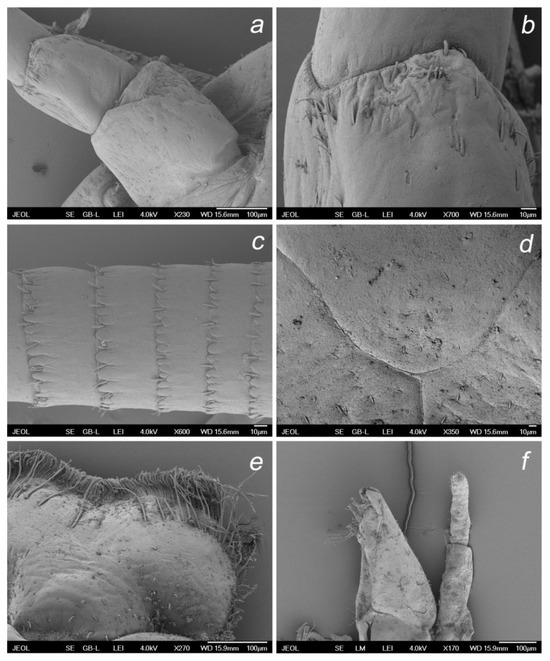 Insects 14 00899 g009