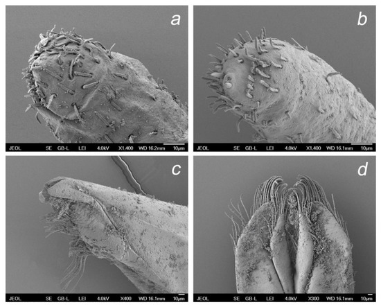 Insects 14 00899 g010