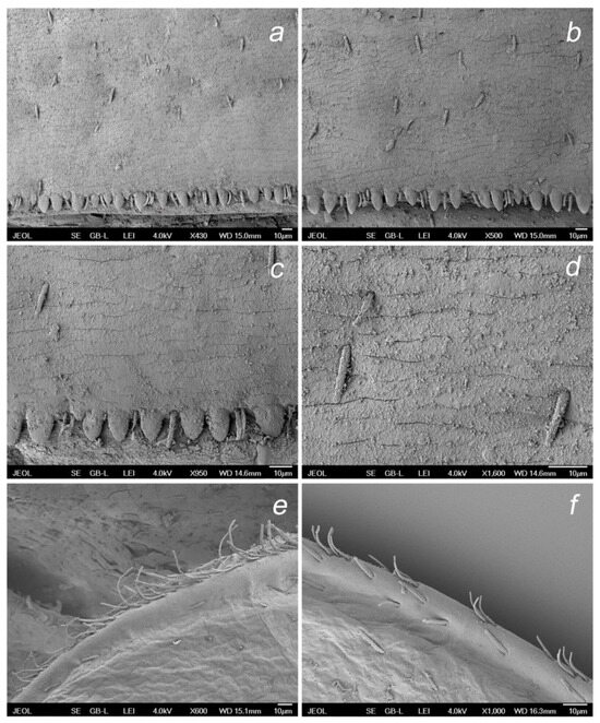 Insects 14 00899 g011