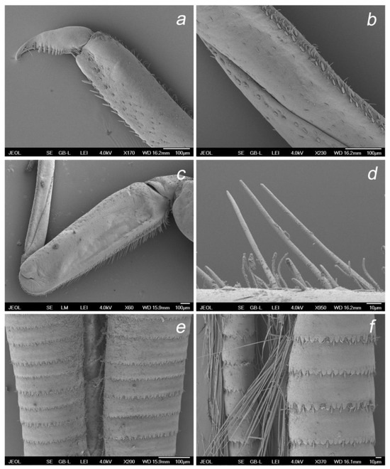 Insects 14 00899 g012