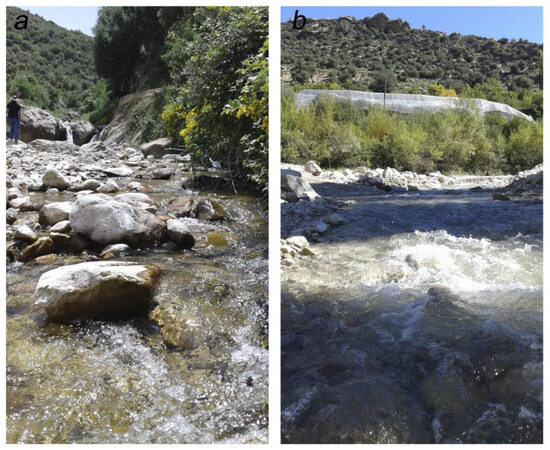 Insects 14 00899 g013