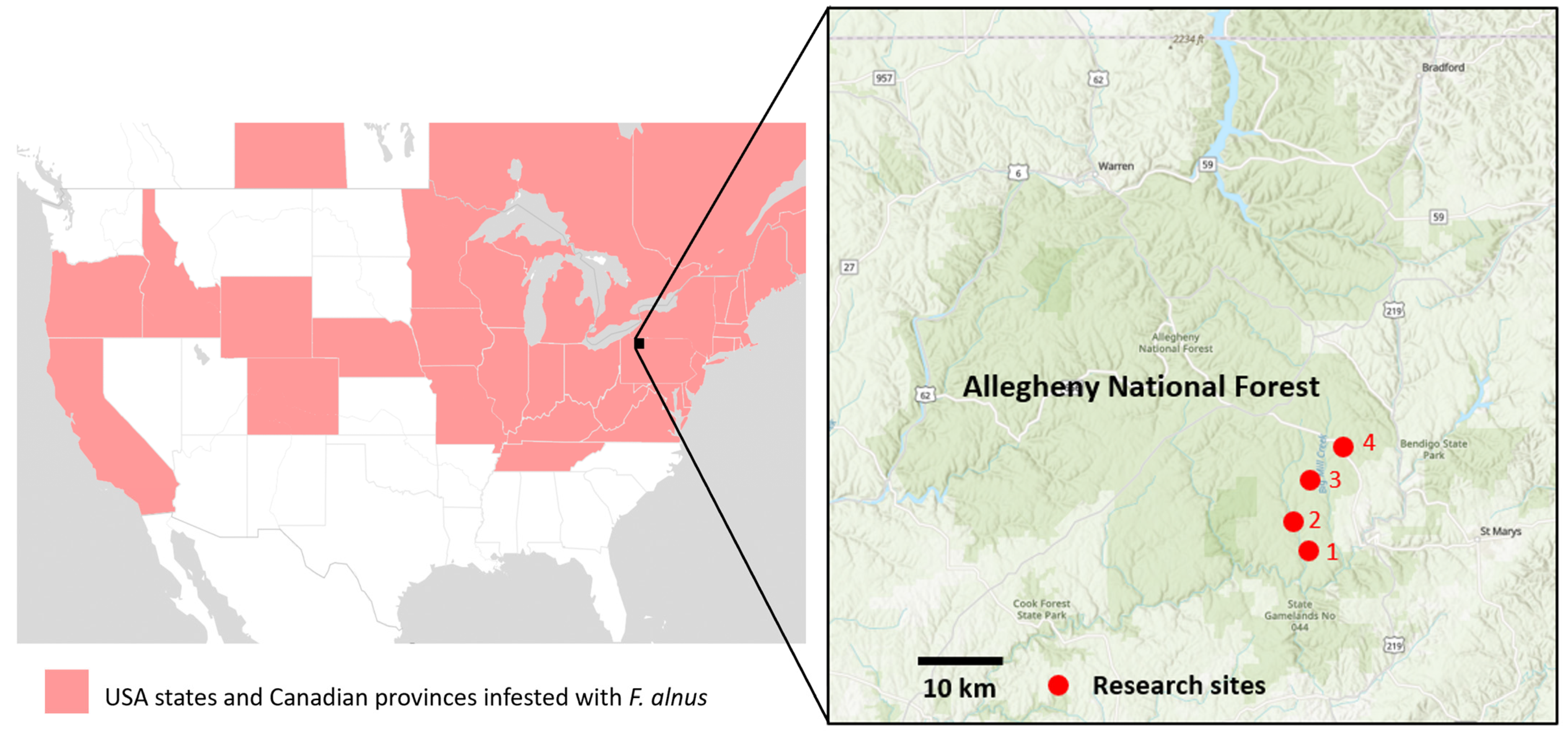 Insects 14 00913 g001