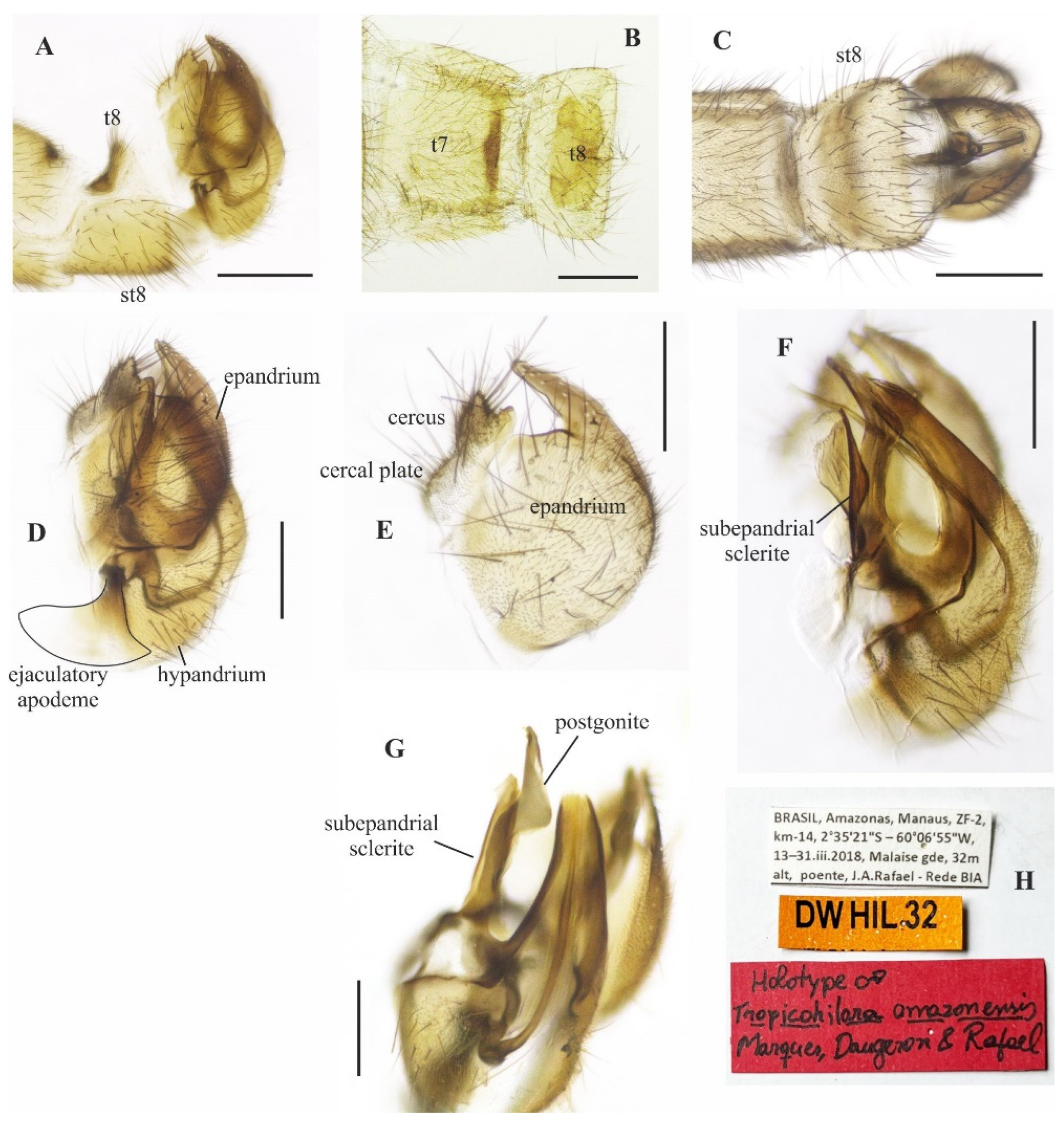 Insects 14 00915 g002