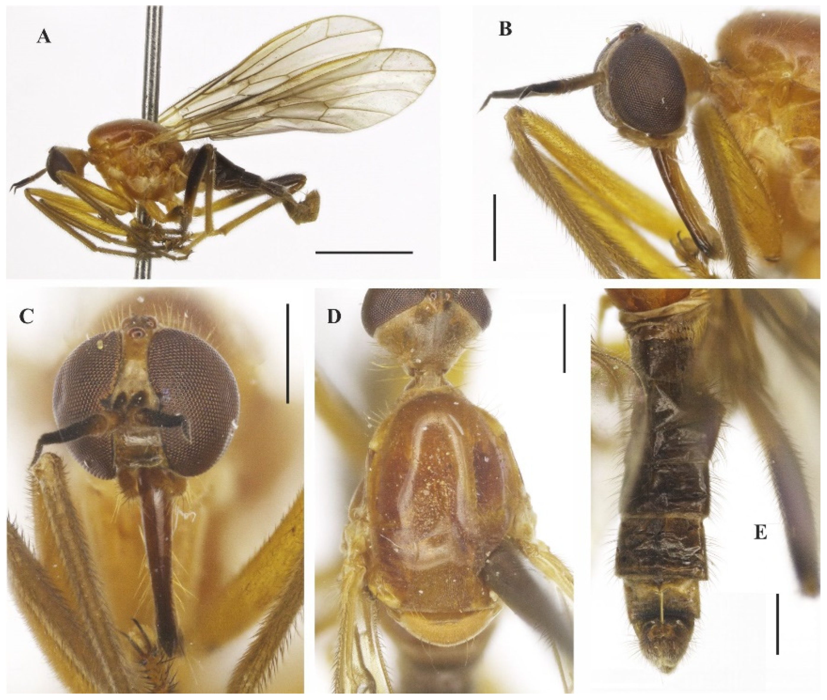 Insects 14 00915 g003