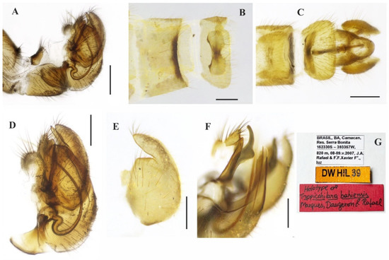 Insects 14 00915 g004