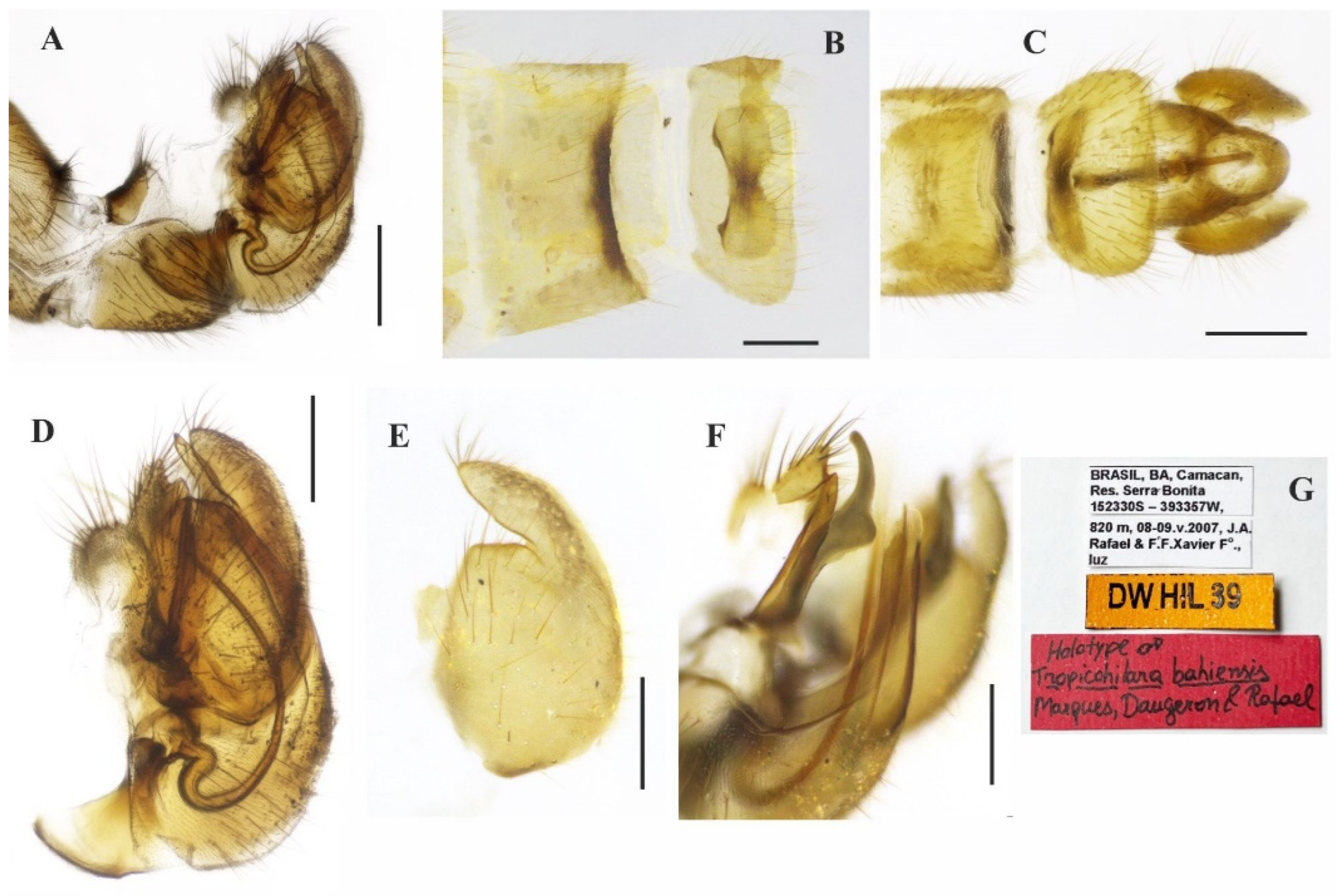 Insects 14 00915 g004