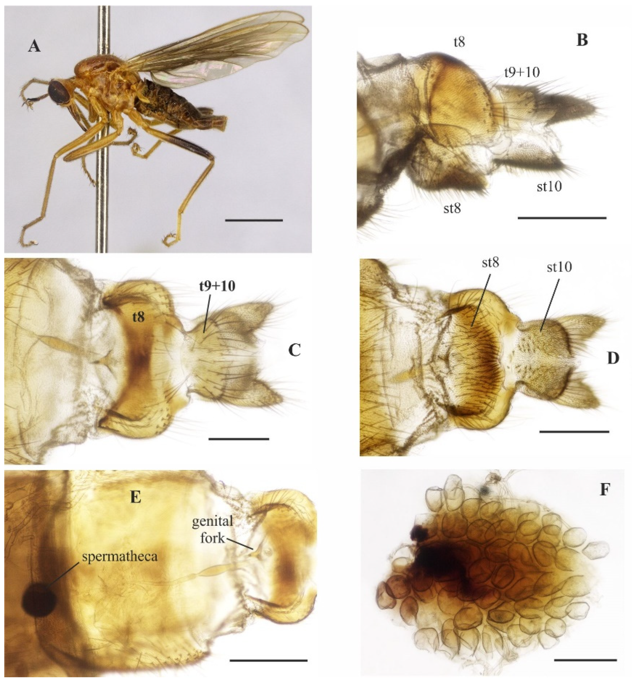 Insects 14 00915 g005