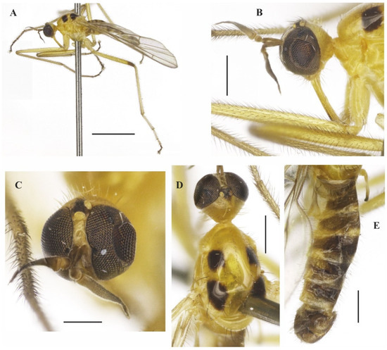 Insects 14 00915 g006