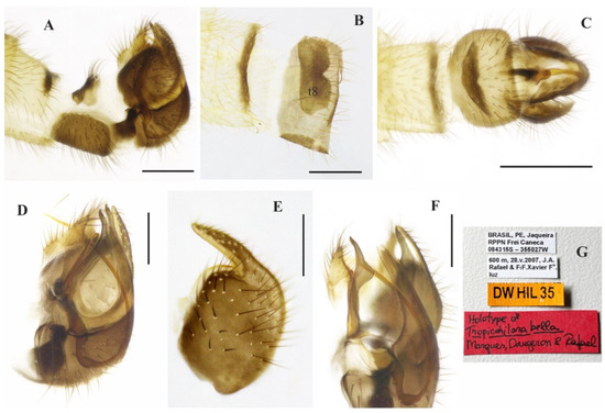 Insects 14 00915 g007