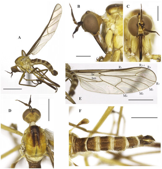 Insects 14 00915 g008