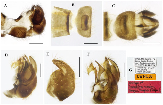 Insects 14 00915 g009