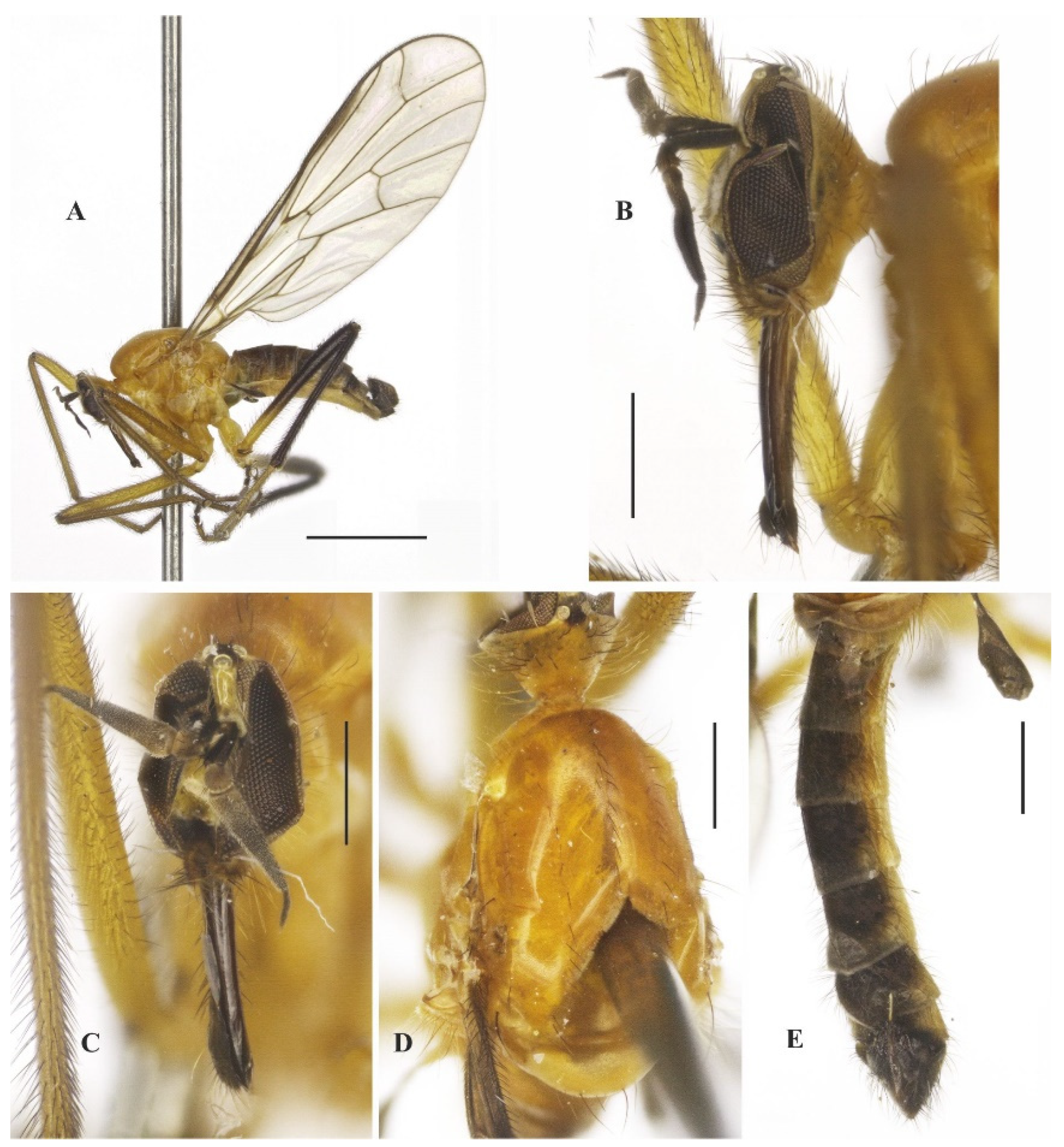 Insects 14 00915 g010