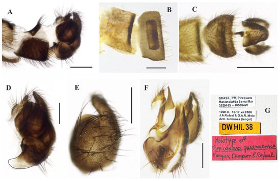 Insects 14 00915 g011