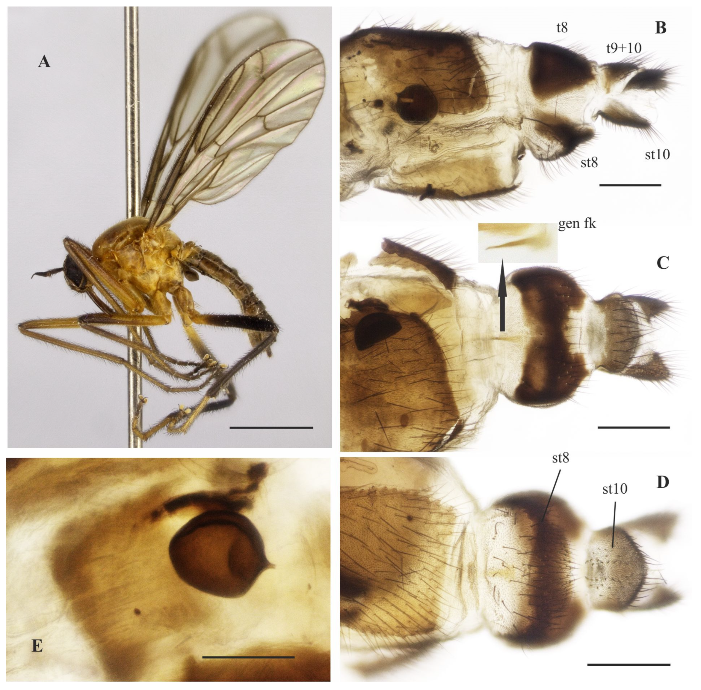 Insects 14 00915 g012