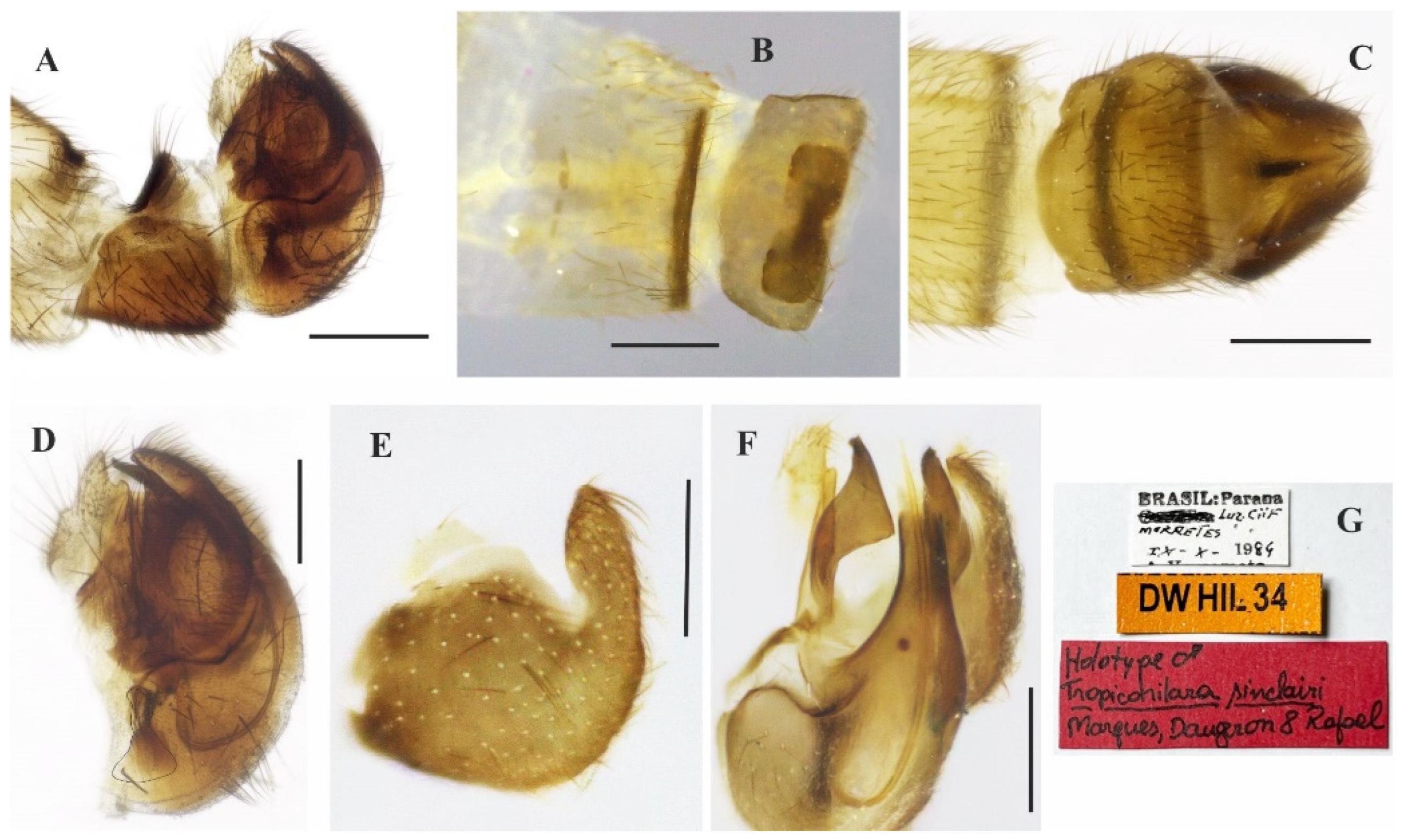 Insects 14 00915 g014