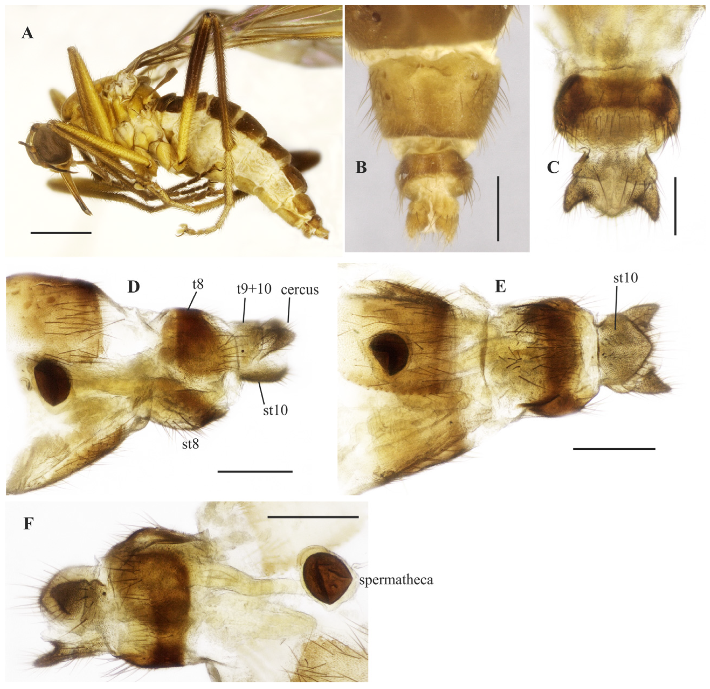 Insects 14 00915 g015