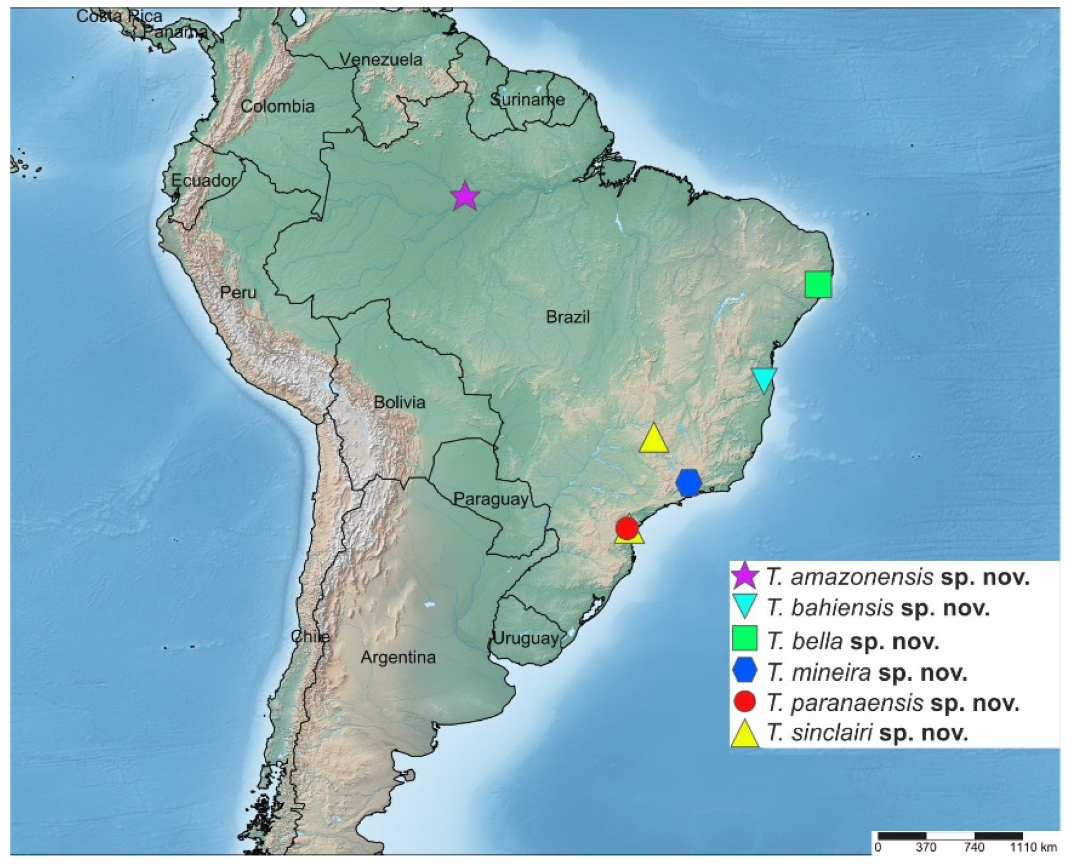 Insects 14 00915 g016