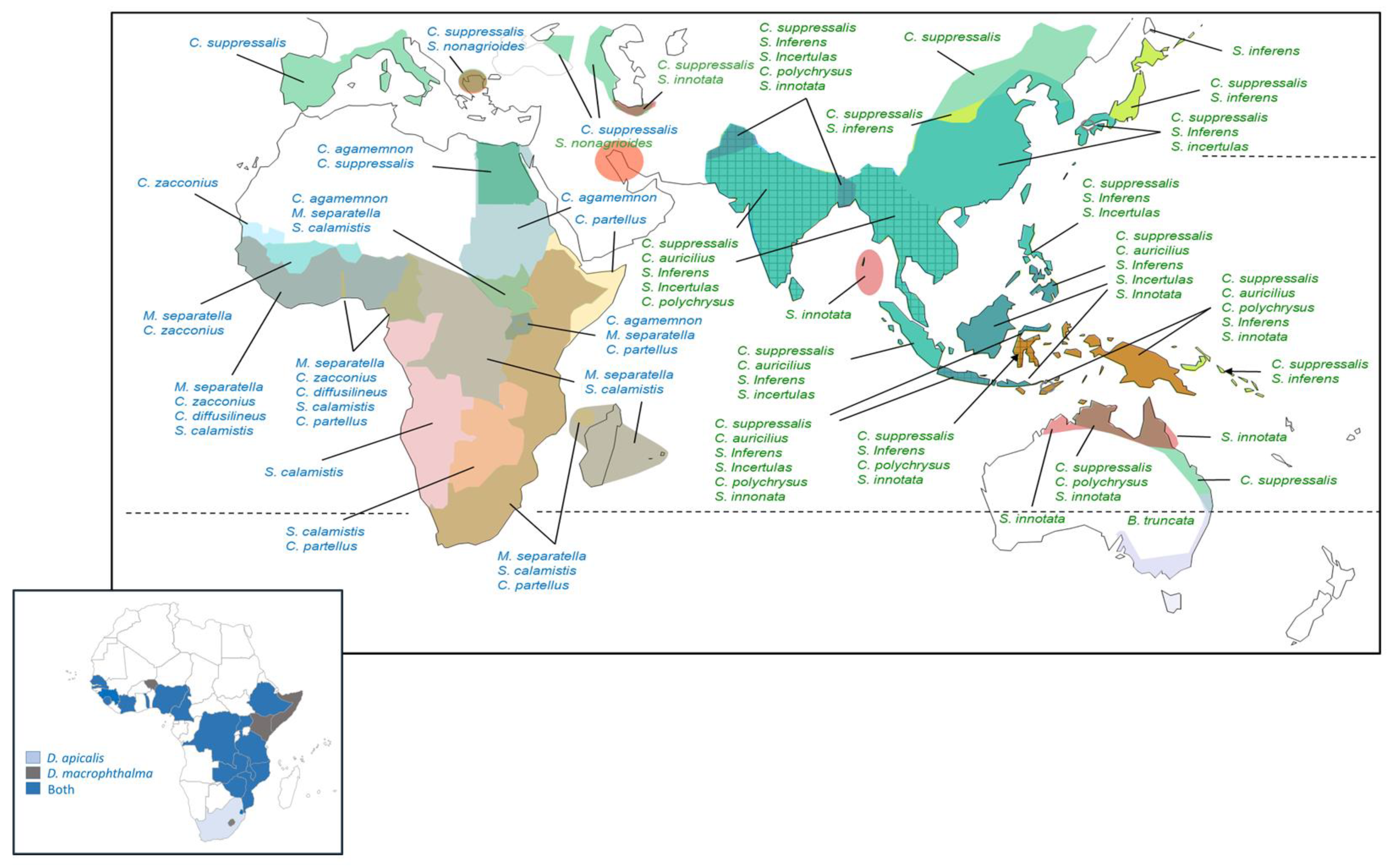 Insects 14 00921 g001