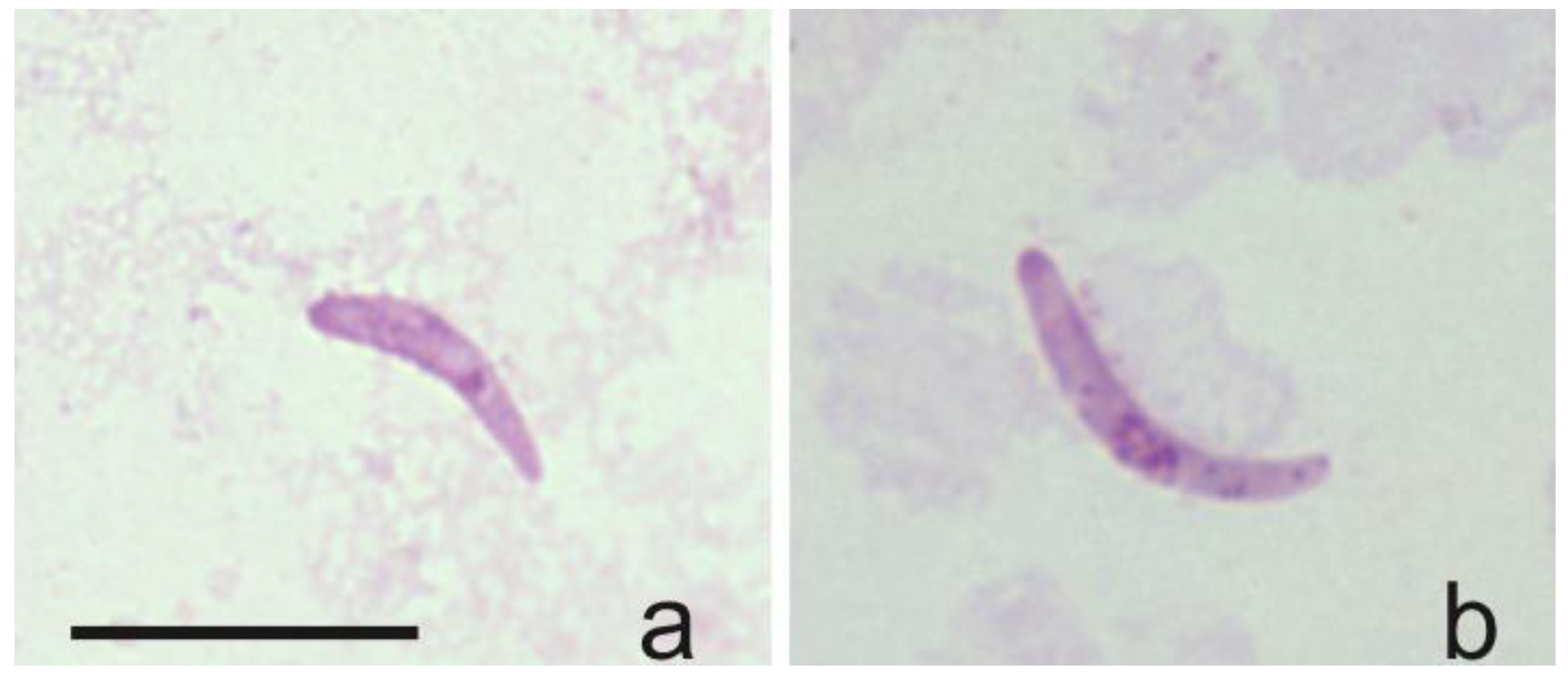 Insects 14 00926 g005