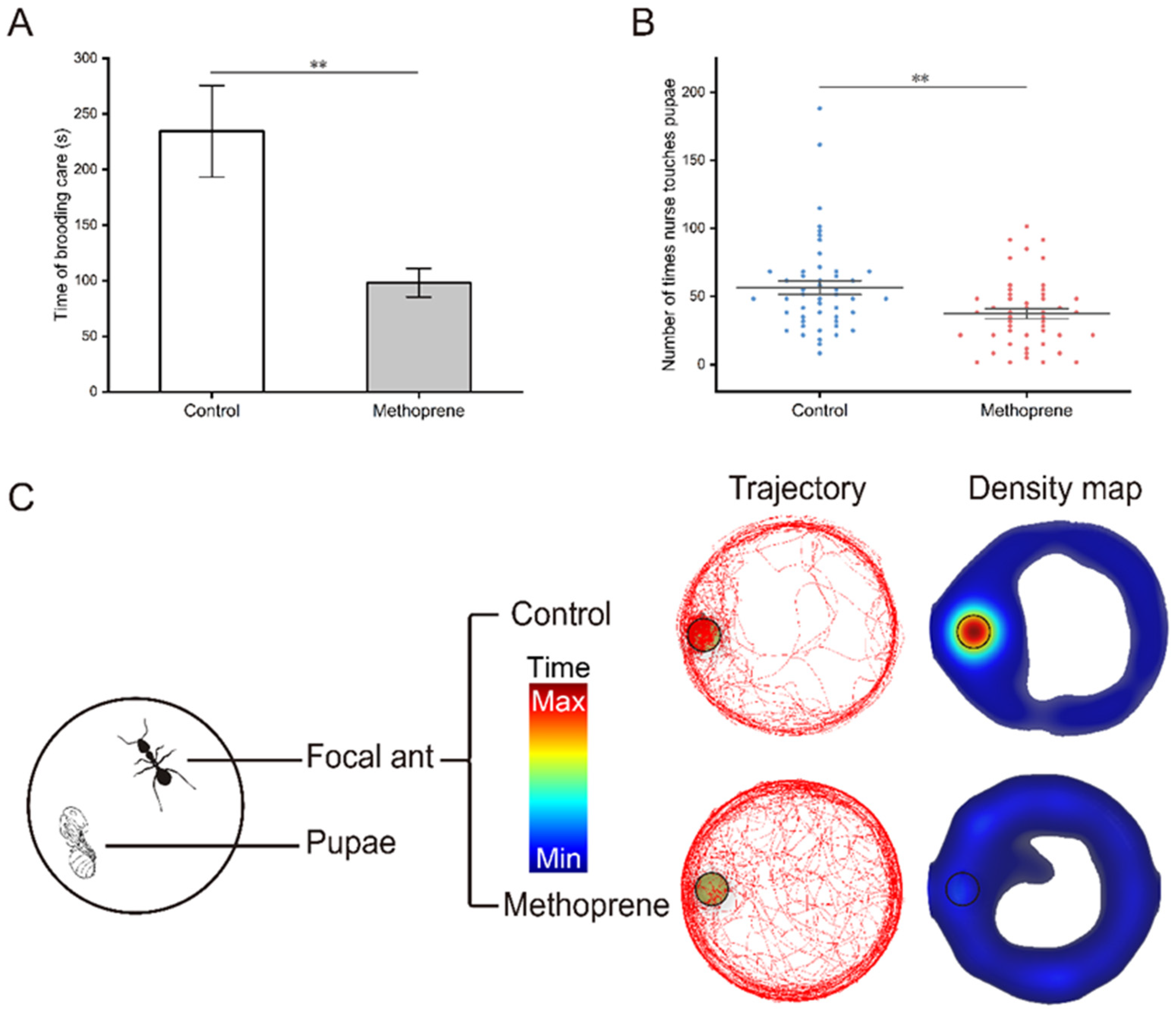 Insects 14 00934 g002