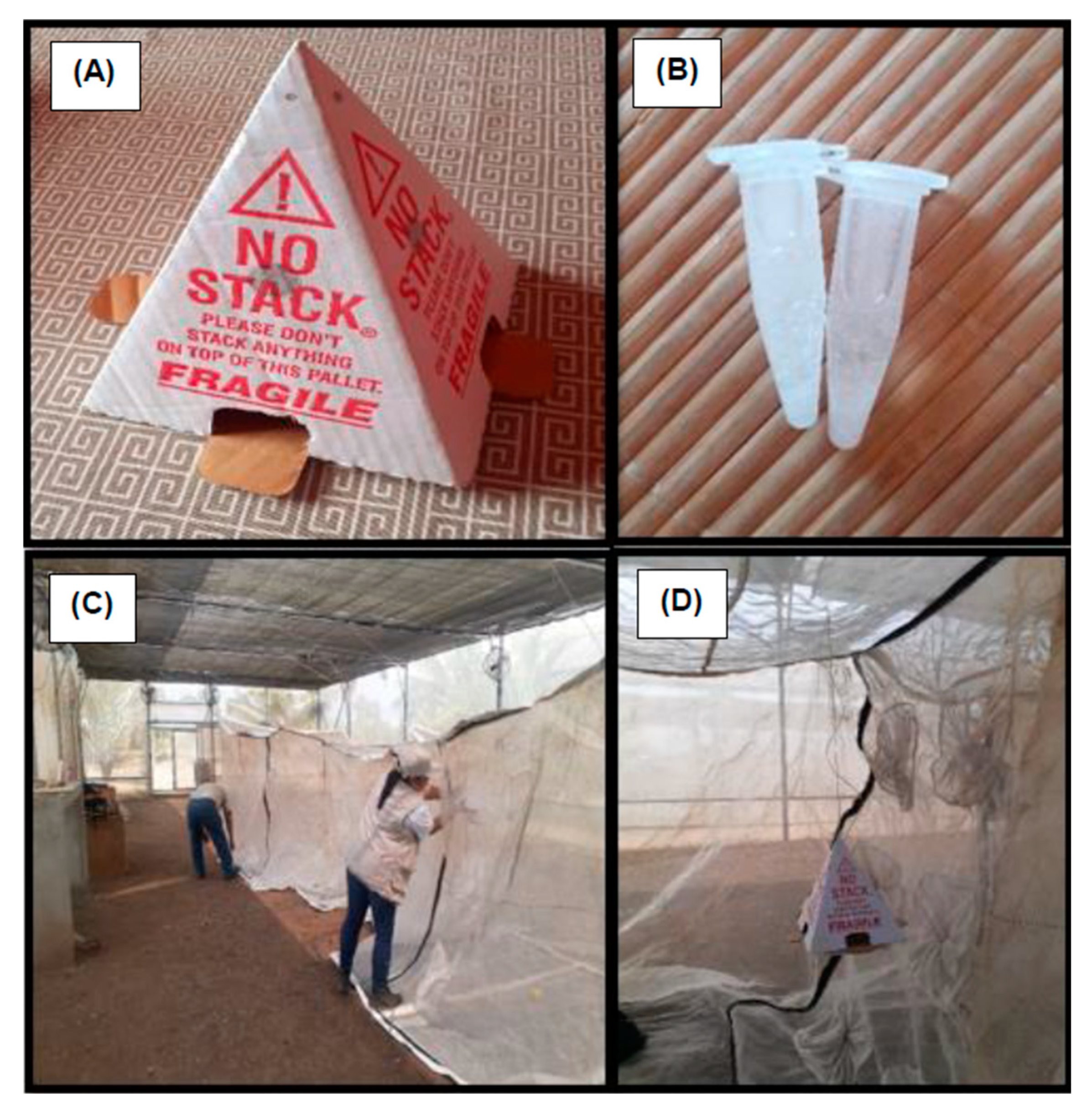 Insects 14 00940 g001