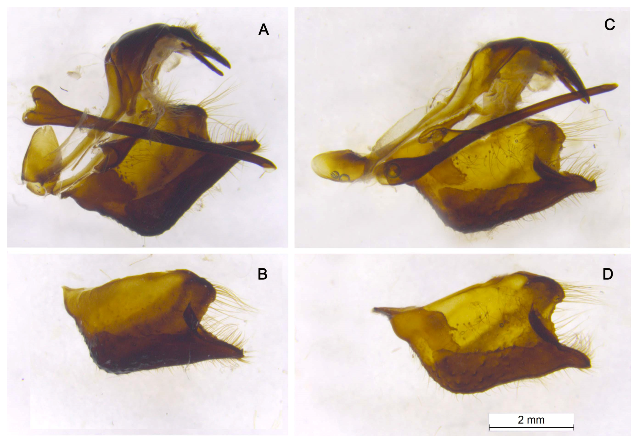 Insects 14 00942 g007