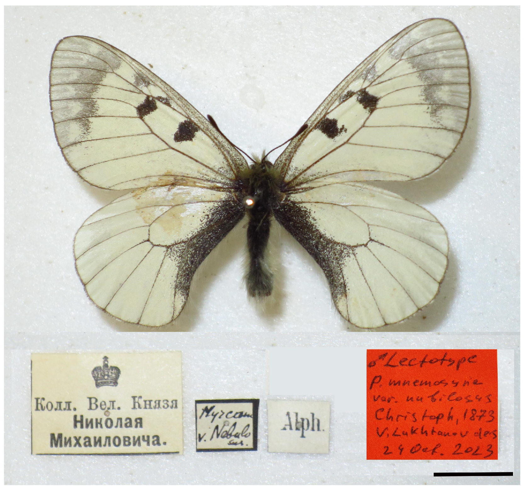 Insects 14 00942 g009