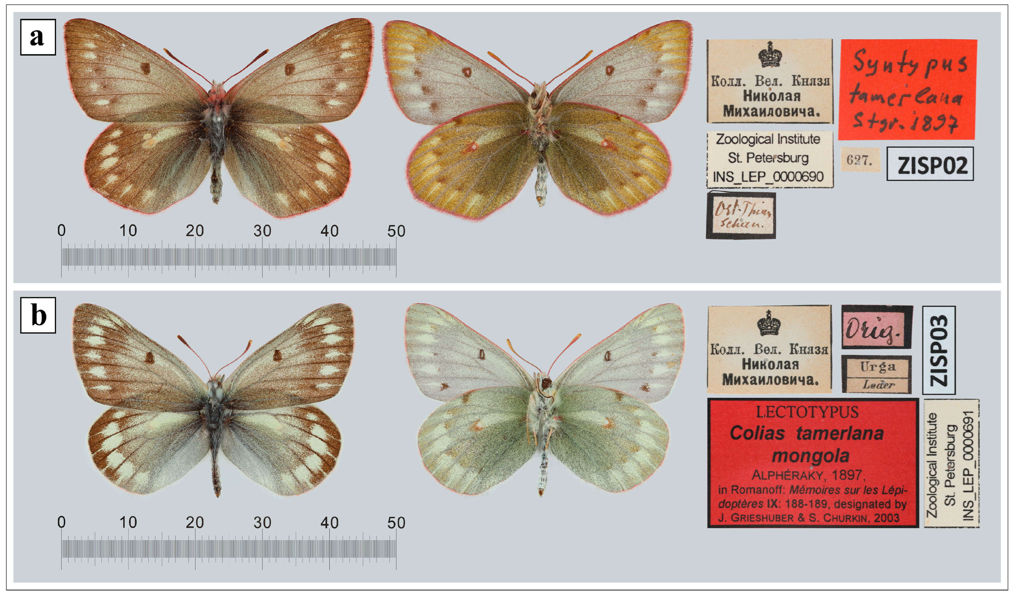 Insects 14 00943 g001 Insects 14 00943 g001