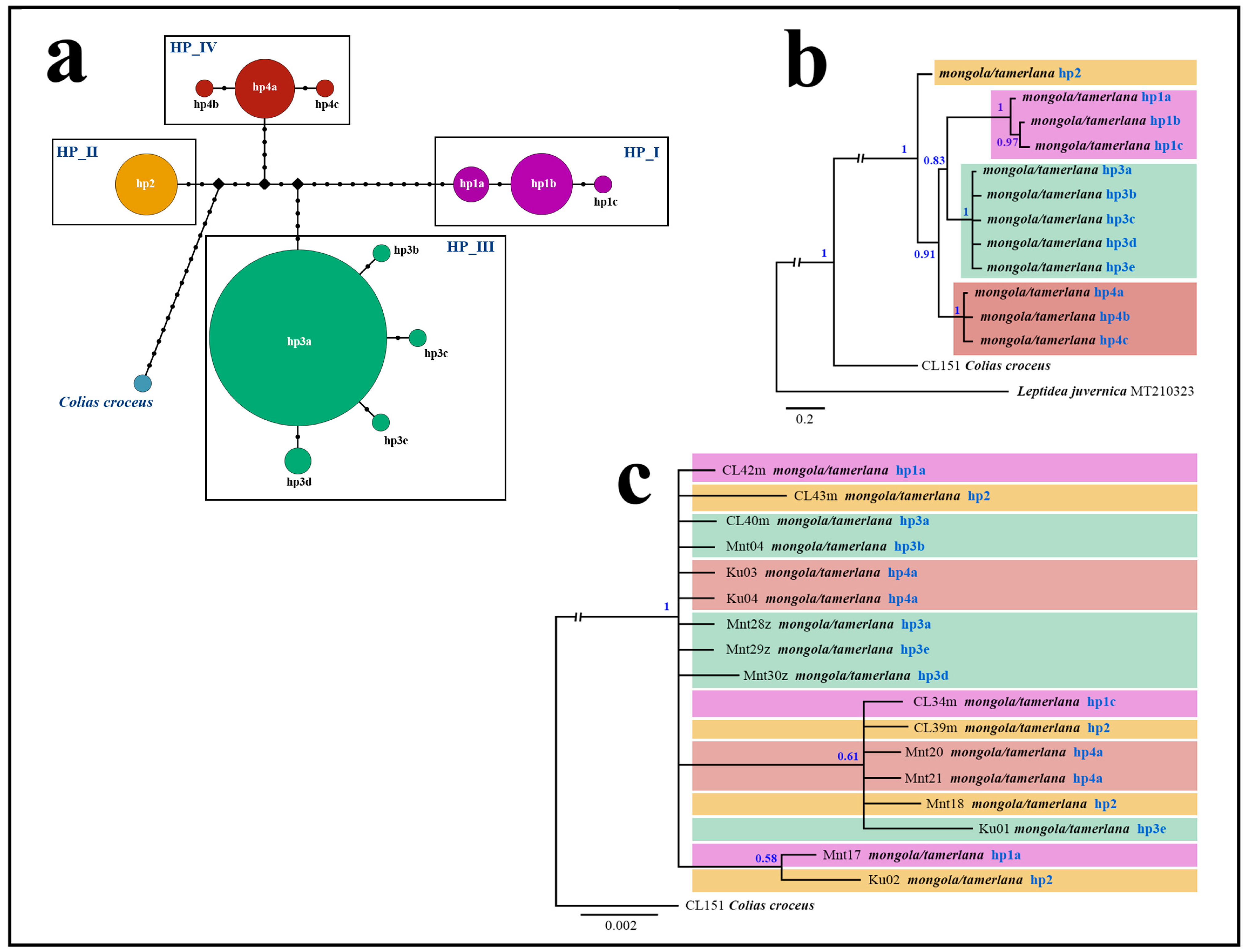 Insects 14 00943 g004 Insects 14 00943 g004