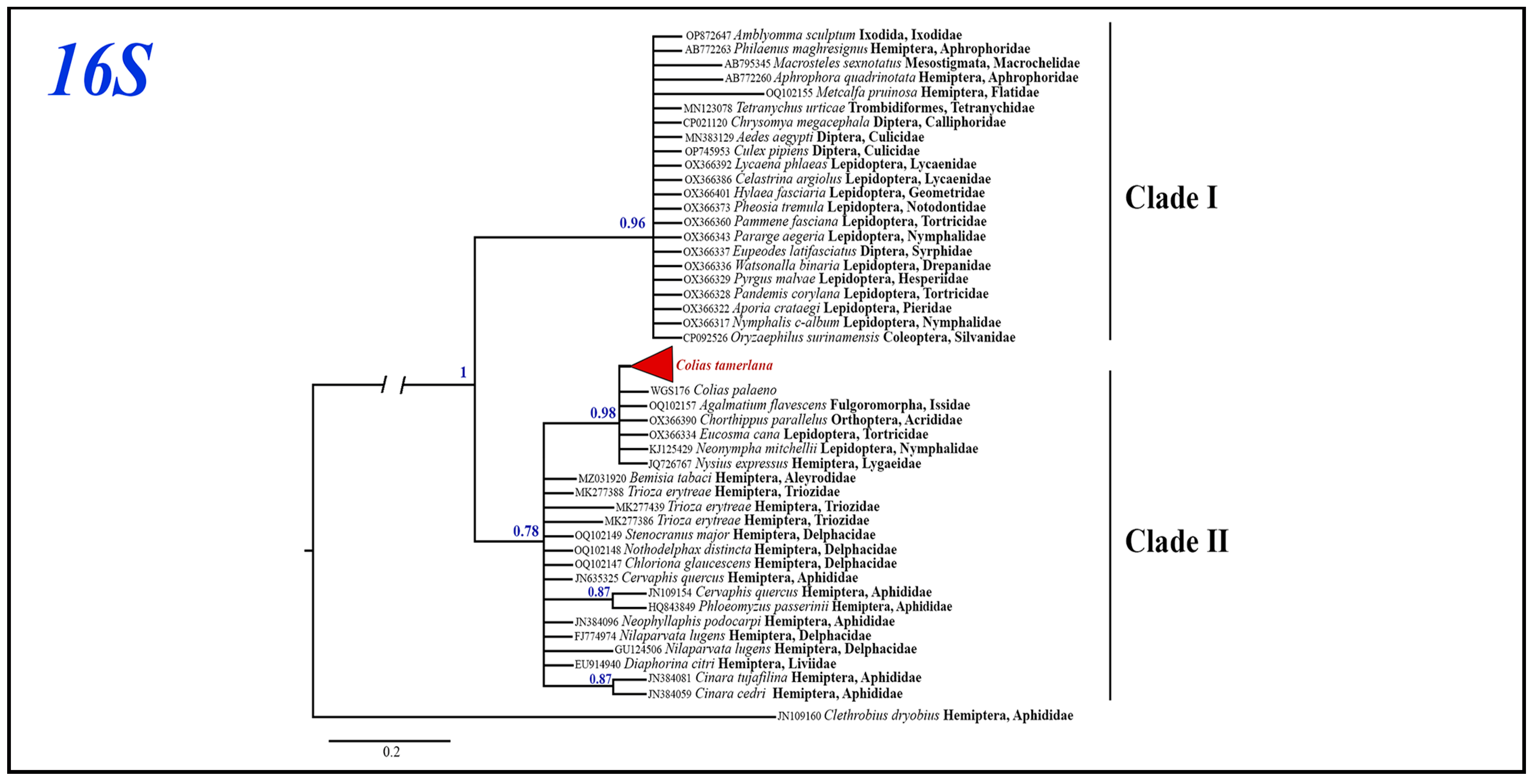Insects 14 00943 g006 Insects 14 00943 g006