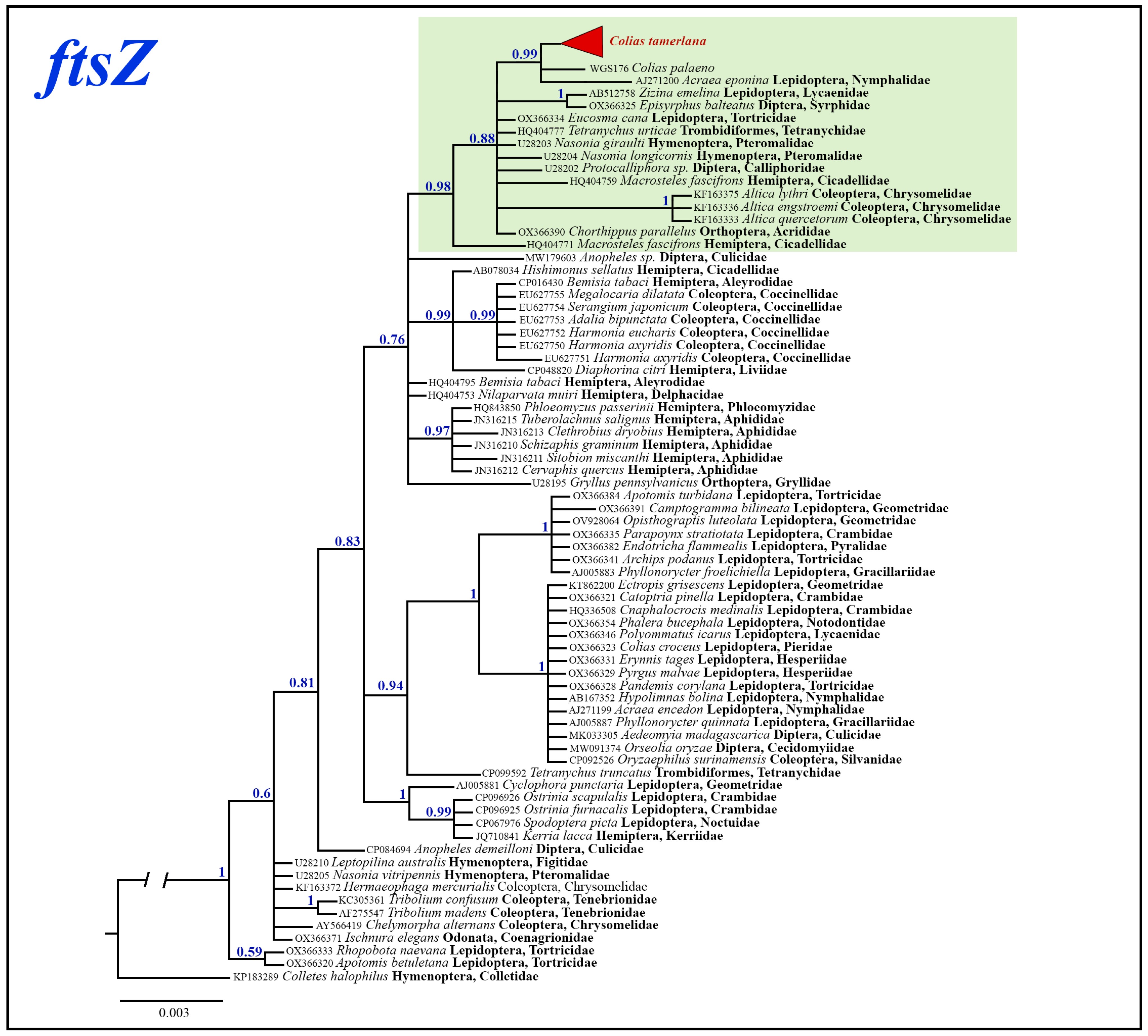 Insects 14 00943 g008 Insects 14 00943 g008