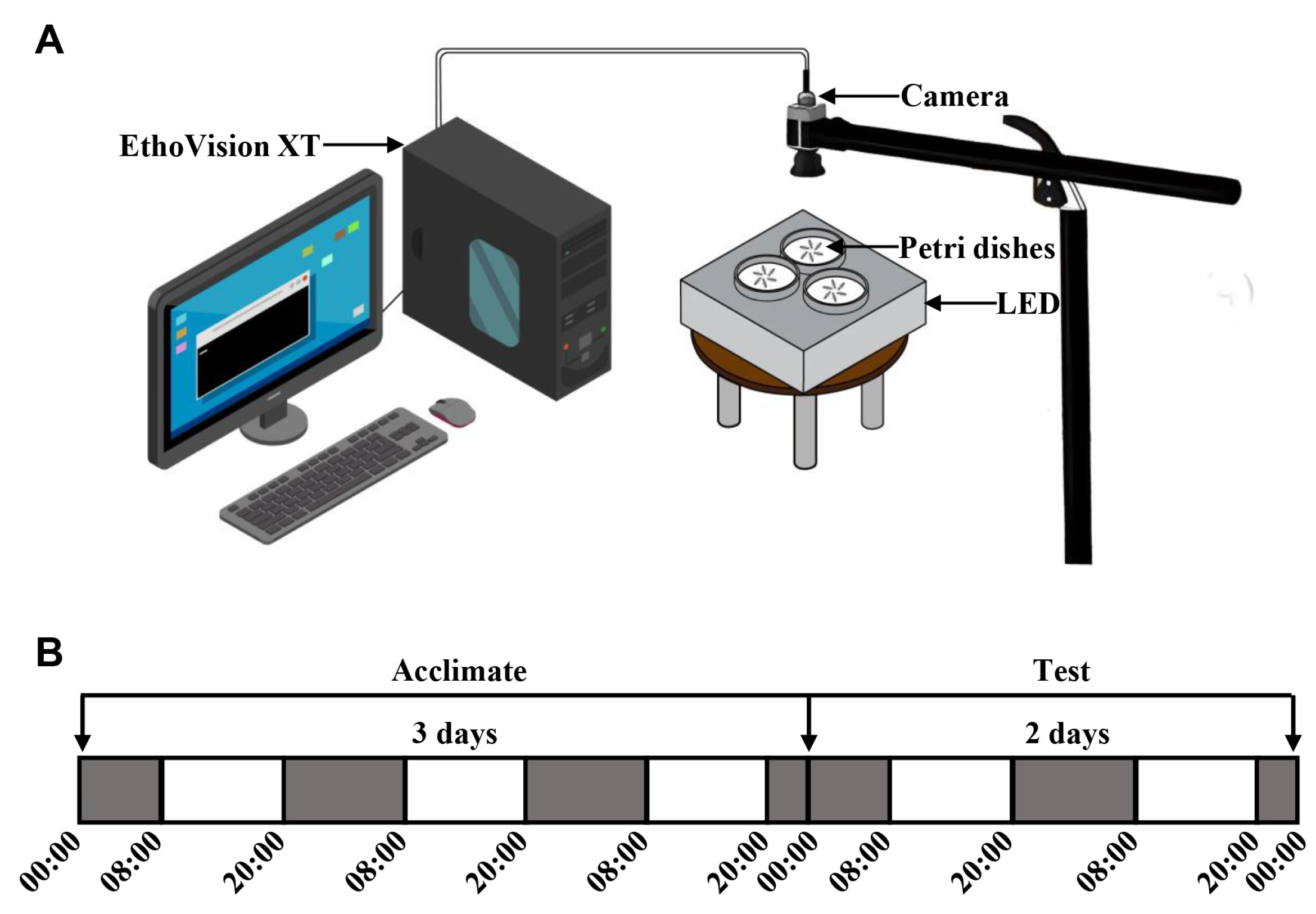 Insects 15 00001 g001 Insects 15 00001 g001