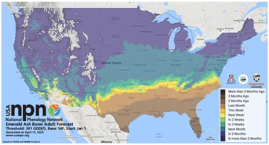 Insects 15 00006 g005