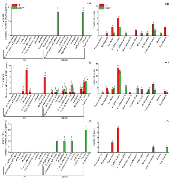Insects 15 00010 g004