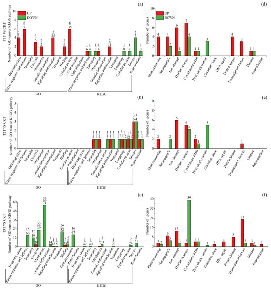 Insects 15 00010 g005