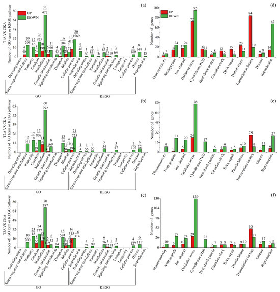 Insects 15 00010 g006