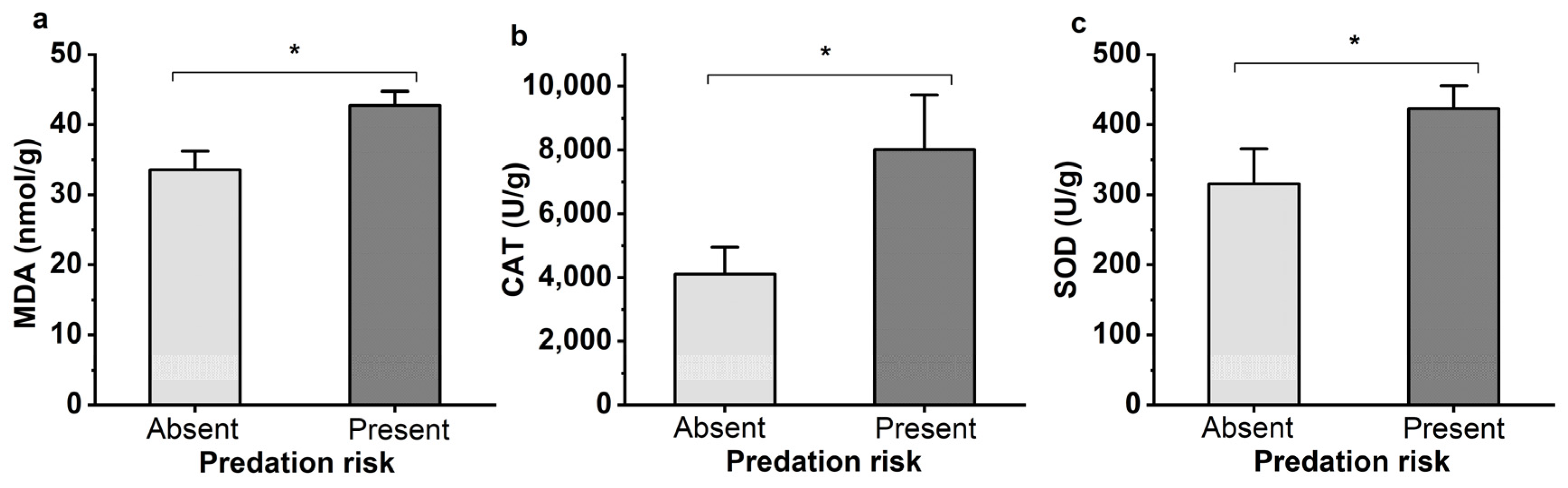 Insects 15 00013 g004