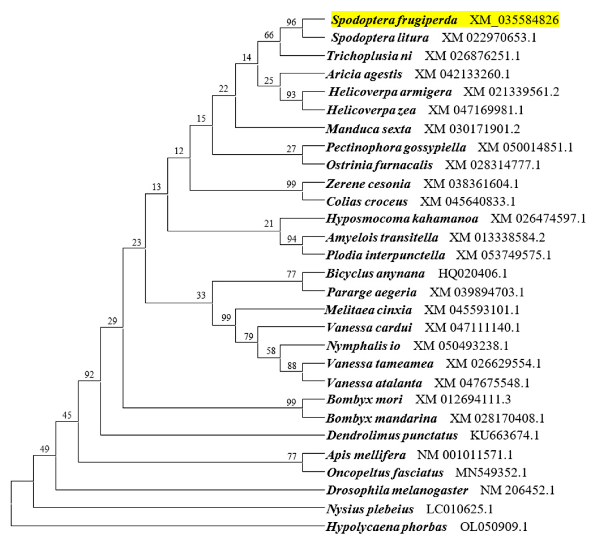 Insects 15 00016 g001