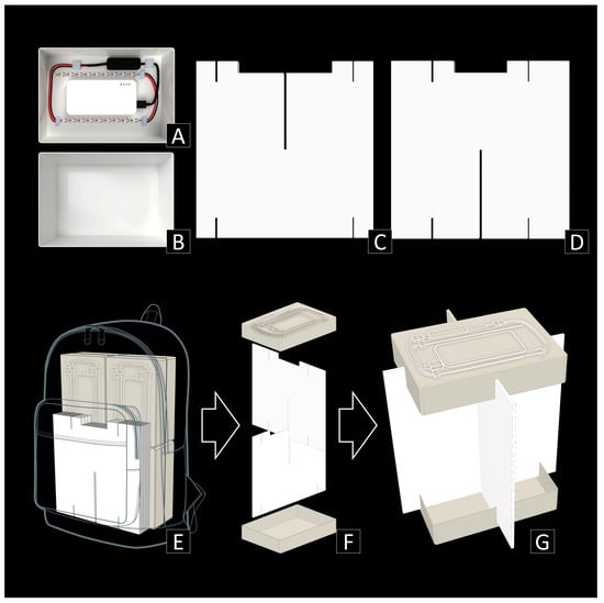 Insects 15 00021 g001