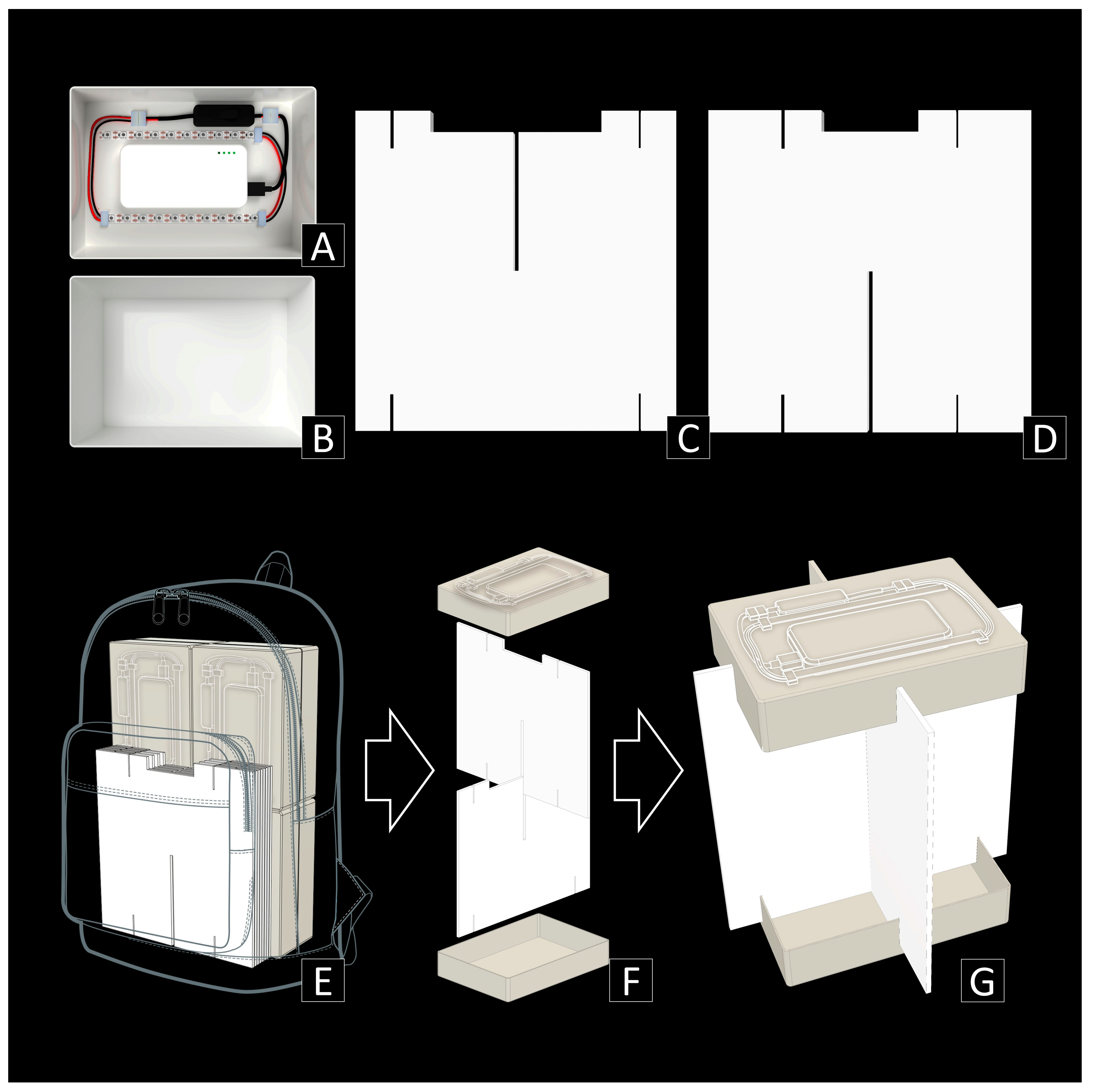 Insects 15 00021 g001