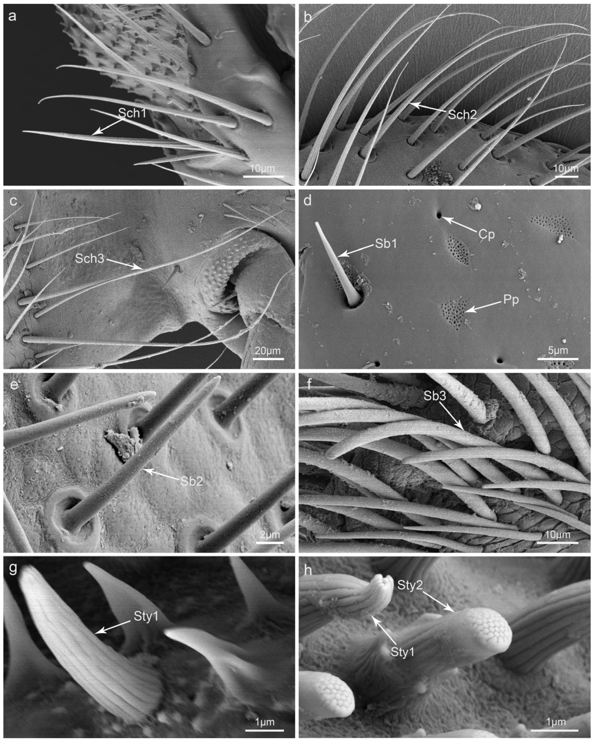 Insects 15 00046 g002