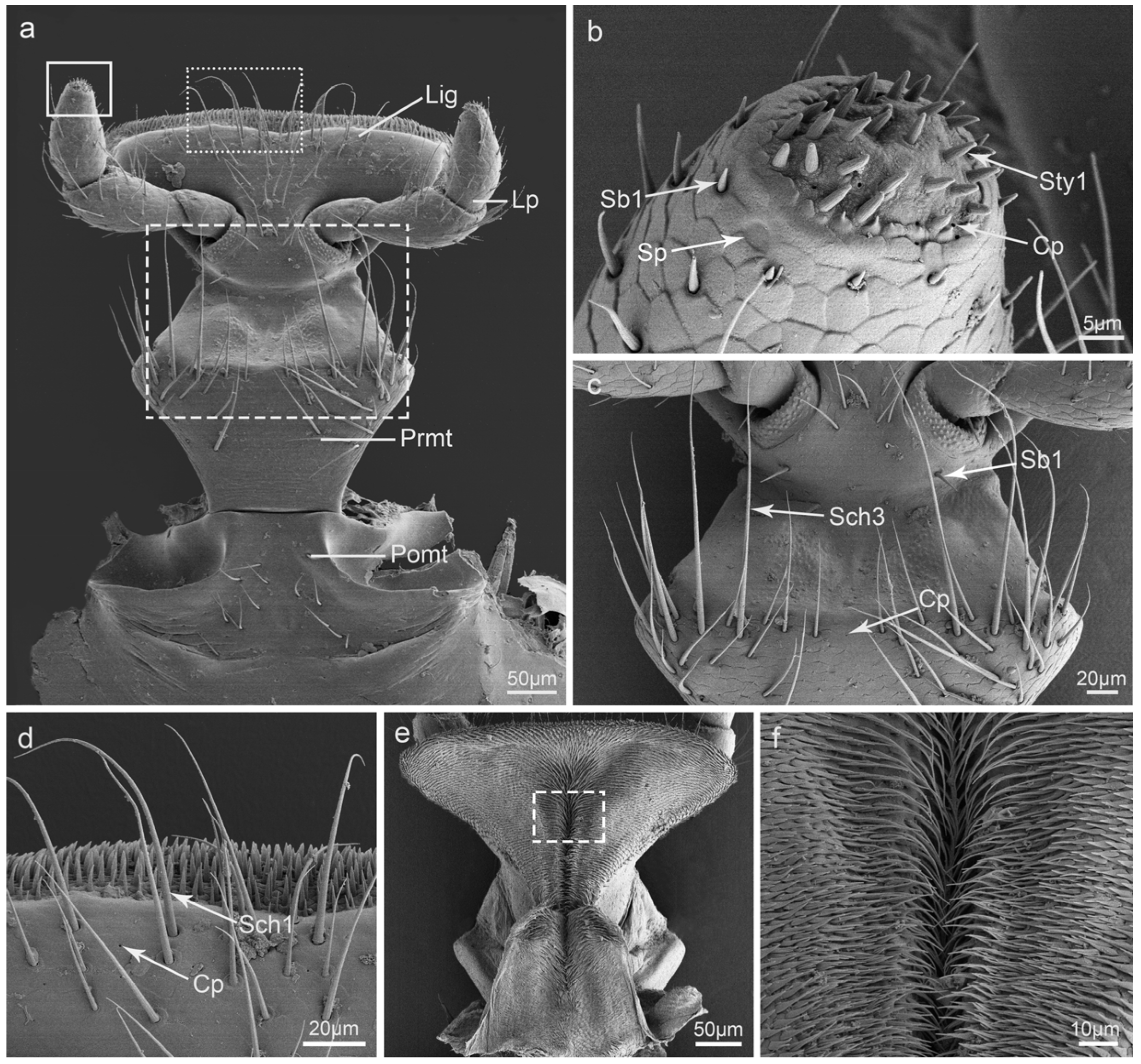 Insects 15 00046 g007