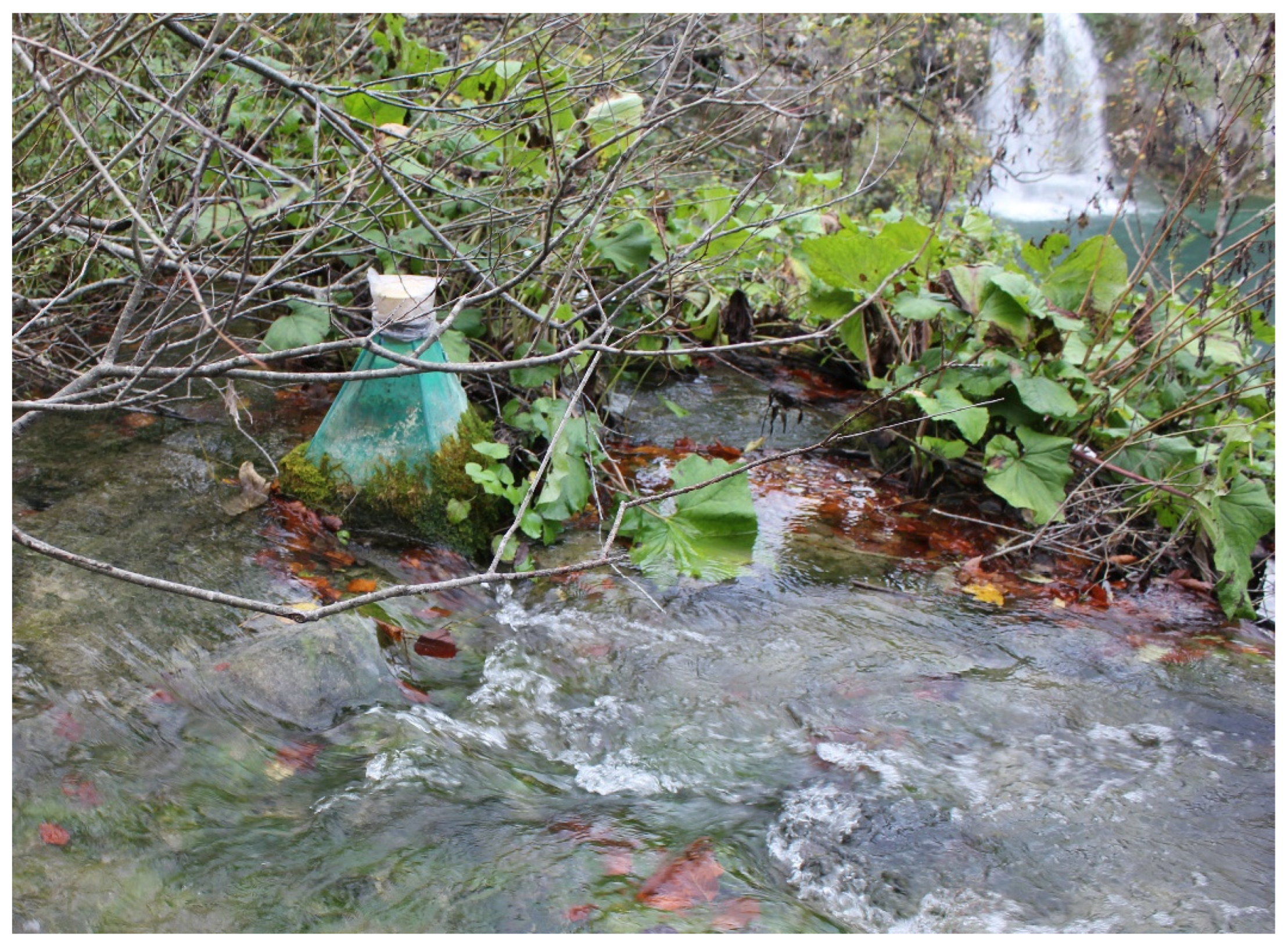 Insects 15 00051 g001