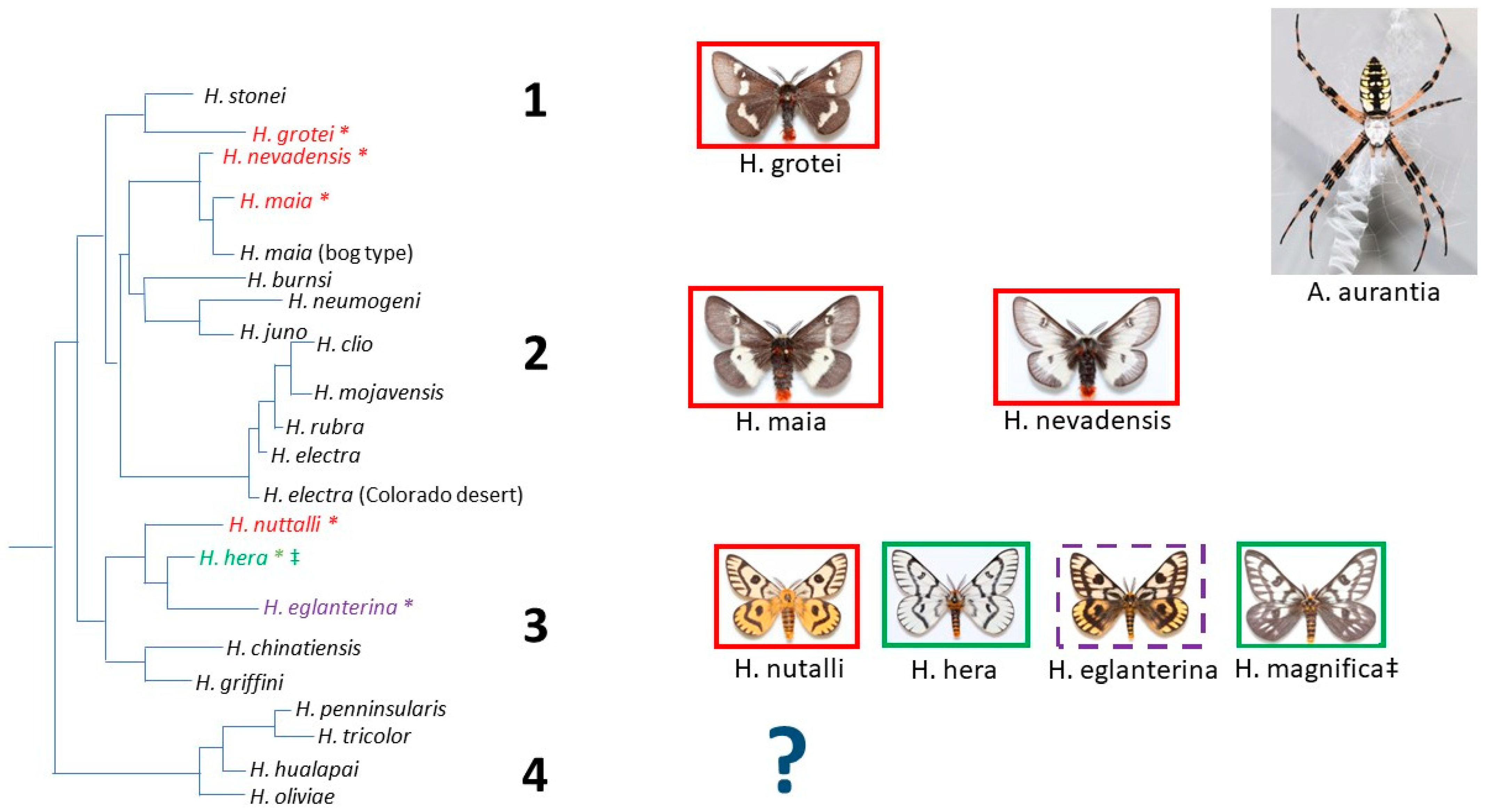 Insects 15 00053 g001